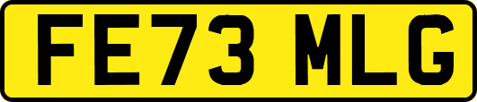 FE73MLG