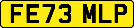 FE73MLP