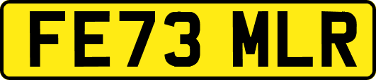 FE73MLR