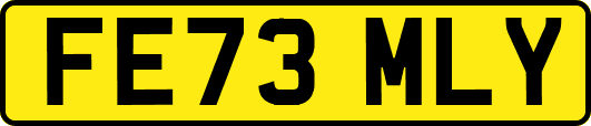 FE73MLY