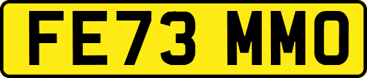 FE73MMO