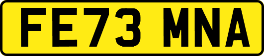 FE73MNA