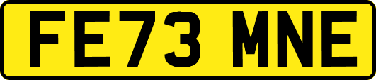 FE73MNE