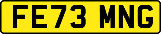 FE73MNG