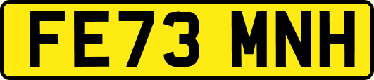 FE73MNH