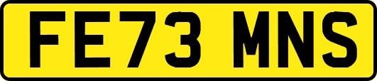 FE73MNS