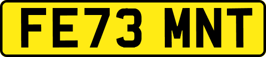 FE73MNT
