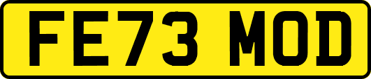 FE73MOD