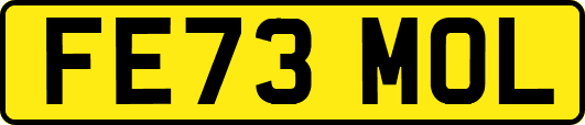 FE73MOL