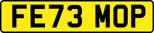 FE73MOP