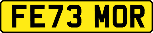 FE73MOR