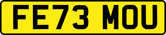 FE73MOU
