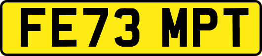 FE73MPT