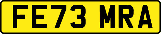 FE73MRA