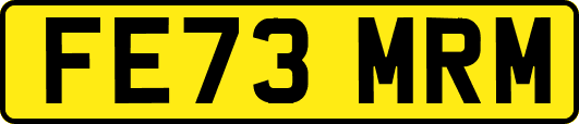 FE73MRM