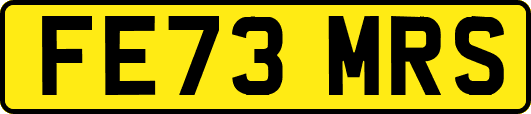 FE73MRS