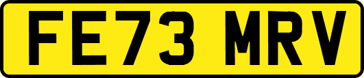 FE73MRV
