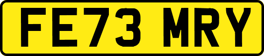 FE73MRY