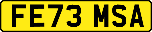 FE73MSA