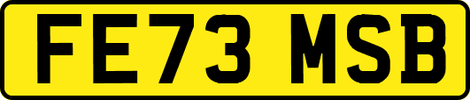FE73MSB