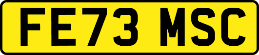 FE73MSC