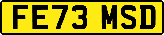 FE73MSD