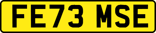 FE73MSE