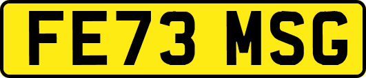FE73MSG