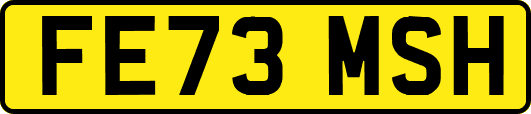 FE73MSH