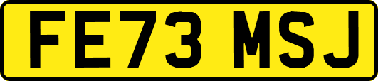 FE73MSJ