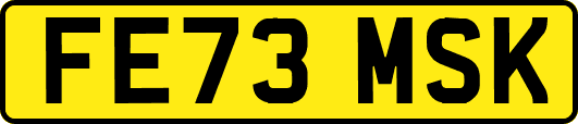 FE73MSK