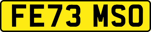 FE73MSO