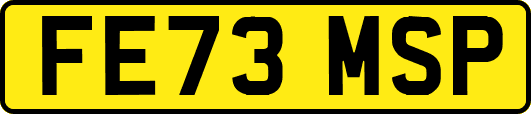 FE73MSP