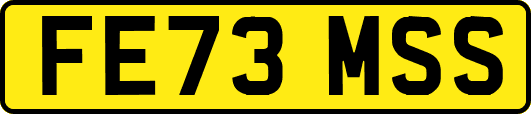 FE73MSS