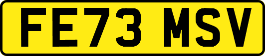 FE73MSV