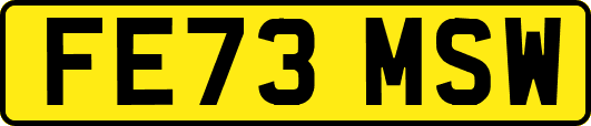 FE73MSW