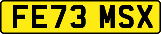 FE73MSX