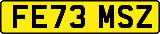FE73MSZ