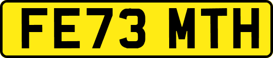 FE73MTH