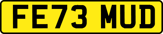 FE73MUD