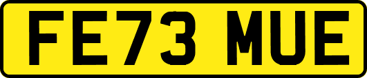 FE73MUE