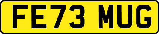 FE73MUG