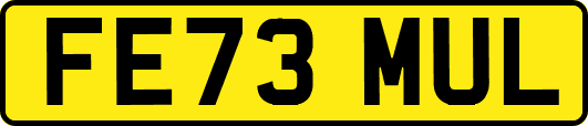 FE73MUL