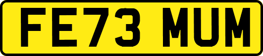 FE73MUM