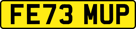 FE73MUP