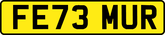 FE73MUR