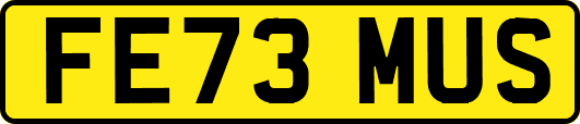 FE73MUS
