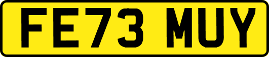 FE73MUY