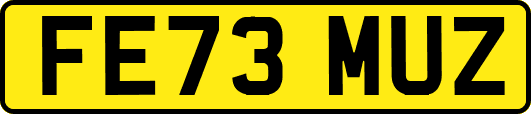 FE73MUZ