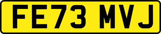 FE73MVJ